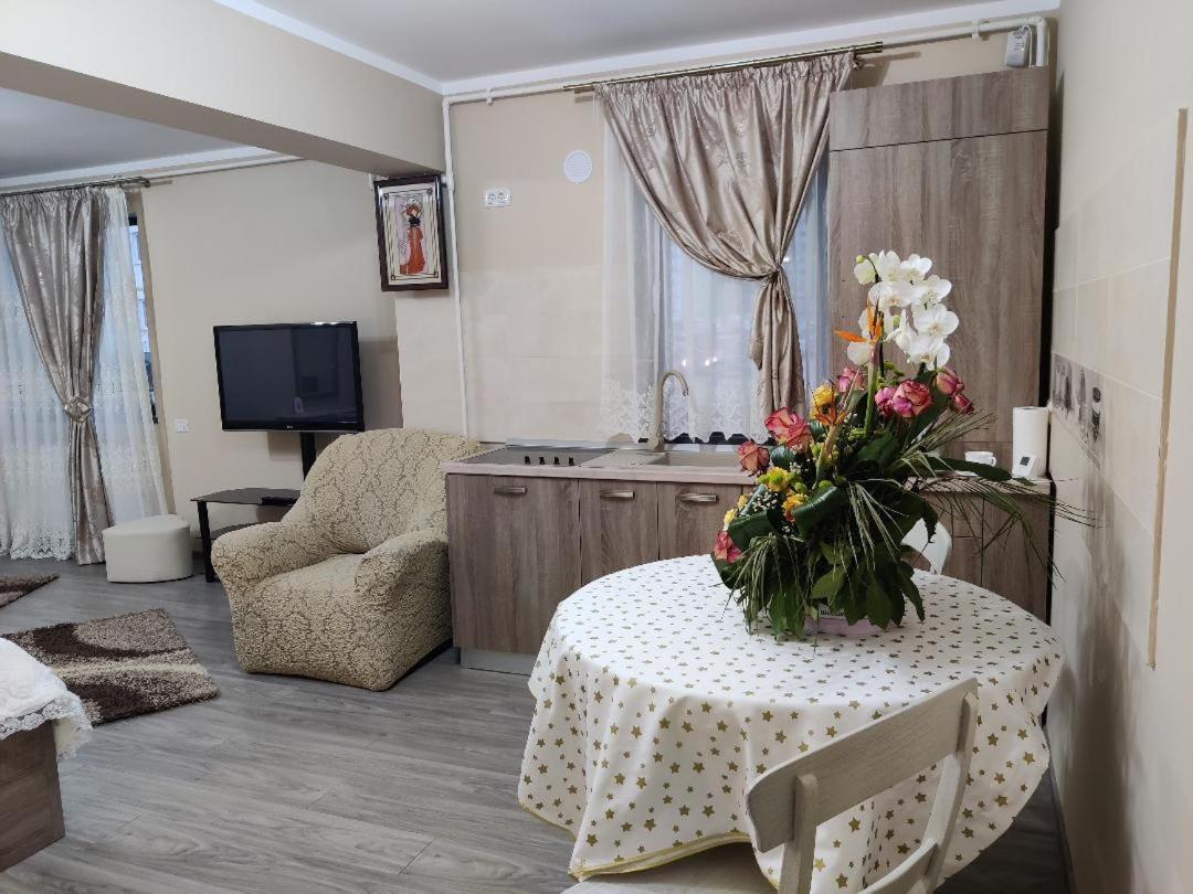 Corressy Studio Braşov Dış mekan fotoğraf
