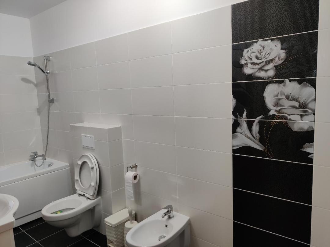 Corressy Studio Braşov Dış mekan fotoğraf